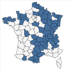 Répartition de Equisetum sylvaticum L. en France