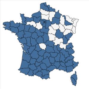 Répartition de Ficus carica L. en France