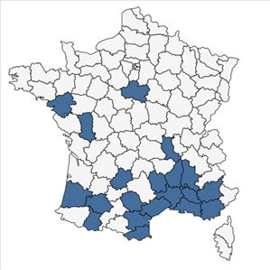 Répartition de Eragrostis barrelieri Daveau en France