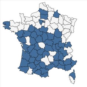 Répartition de Eragrostis cilianensis (All.) Vignolo ex Janch. en France