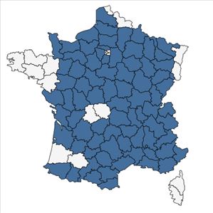 Répartition de Lactuca perennis L. en France