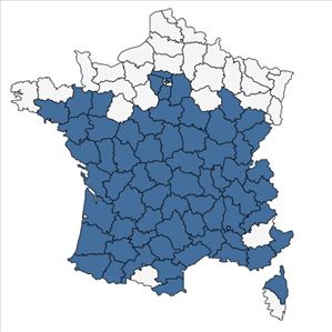 Répartition de Eragrostis pilosa (L.) P.Beauv. en France