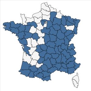 Répartition de Mentha longifolia (L.) Huds. en France