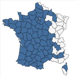 Répartition de Erica cinerea L. en France