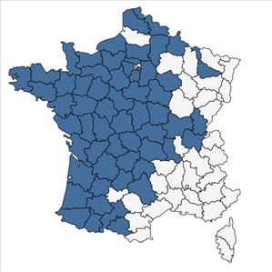 Répartition de Erica tetralix L. en France