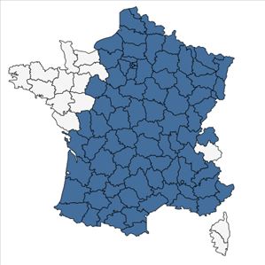 Répartition de Eupatorium cannabinum L. en France