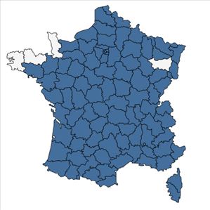 Répartition de Allium oleraceum L. en France