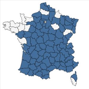 Répartition de Euphorbia dulcis subsp. incompta (Ces.) Nyman en France