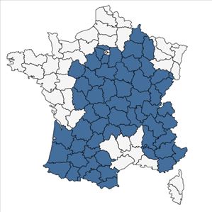 Répartition de Trifolium hybridum var. elegans (Savi) Boiss. en France