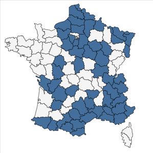 Répartition de Onobrychis viciifolia Scop. subsp. viciifolia en France