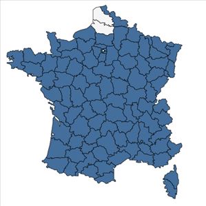 Répartition de Allium sphaerocephalon L. en France