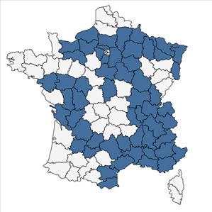 Répartition de Euphorbia seguieriana Neck. en France