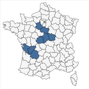 Répartition de Odontites jaubertianus var. chrysanthus (Boreau) Bolliger en France