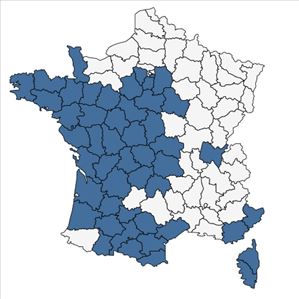 Répartition de Exaculum pusillum (Lam.) Caruel en France