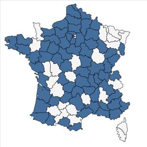 Répartition de Fagopyrum esculentum Moench en France