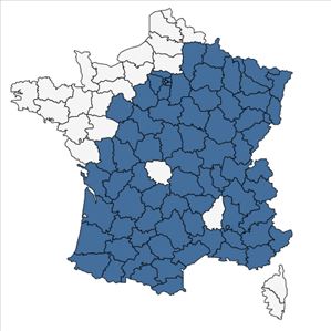 Répartition de Taraxacum officinale F.H.Wigg. en France