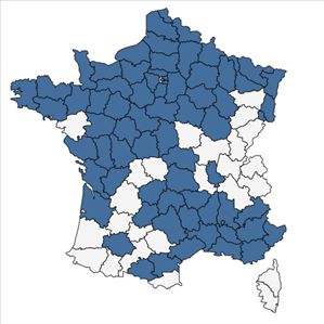 Répartition de Falcaria vulgaris Bernh. en France