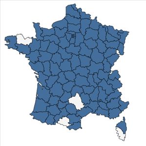 Répartition de Fallopia dumetorum (L.) Holub en France