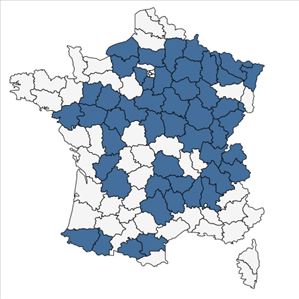 Répartition de Dichoropetalum carvifolia (Vill.) Pimenov & Kljuykov en France