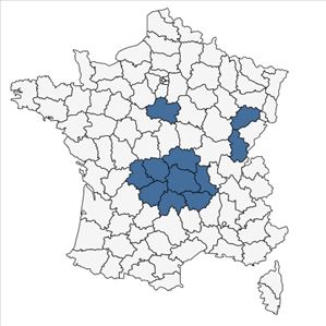 Répartition de Rubus nemophilus Ripart ex Genev. en France