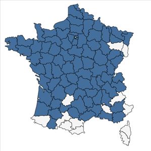 Répartition de Festuca filiformis Pourr. en France