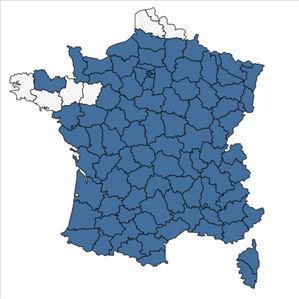 Répartition de Festuca heterophylla Lam. en France