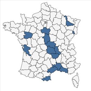 Répartition de Bolboschoenus planiculmis (F.Schmidt) T.V.Egorova en France