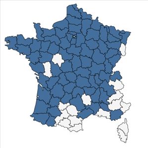 Répartition de Callitriche platycarpa Kütz. en France