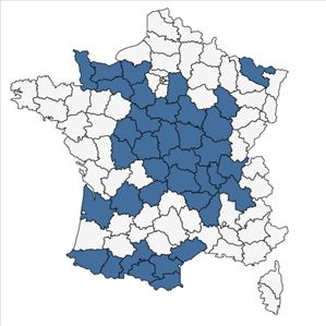 Répartition de Festuca longifolia Thuill. en France