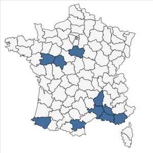 Répartition de Cyperus glomeratus L. en France