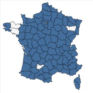 Répartition de Glyceria notata Chevall. en France