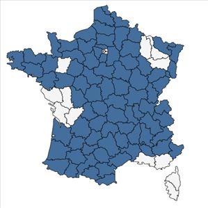 Répartition de Festuca nigrescens Lam. en France