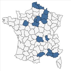 Répartition de Lathyrus odoratus L. en France