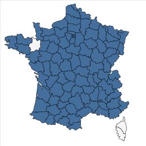 Répartition de Festuca ovina L. en France