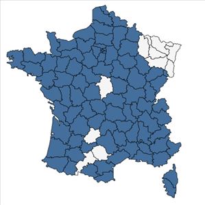 Répartition de Malus domestica Borkh. en France