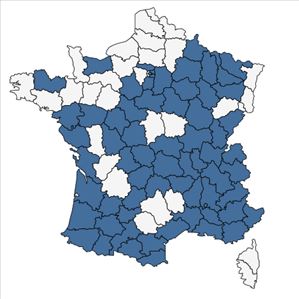 Répartition de Prunus cerasifera Ehrh. en France