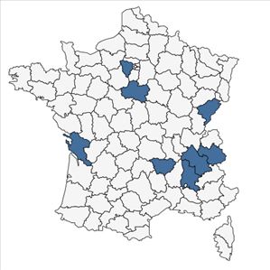 Répartition de Ranunculus flammula var. reptans (L.) Rouy & Foucaud en France