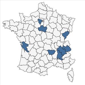 Répartition de Ranunculus flammula var. reptans (L.) Rouy & Foucaud en France