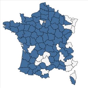 Répartition de Ranunculus penicillatus (Dumort.) Bab. en France