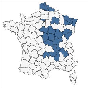 Répartition de Rorippa austriaca (Crantz) Besser en France