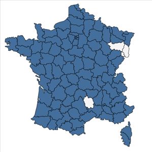 Répartition de Foeniculum vulgare Mill. en France