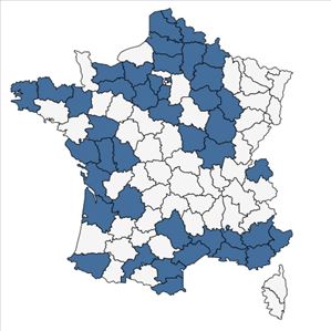 Répartition de Fumaria densiflora DC. en France