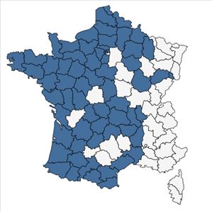 Répartition de Fumaria muralis Sond. ex W.D.J.Koch en France