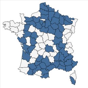 Répartition de Fumaria parviflora Lam. en France