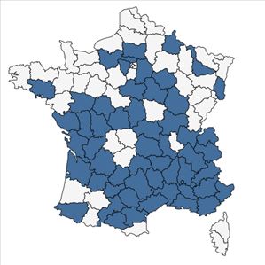 Répartition de Galatella linosyris (L.) Rchb.f. en France