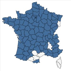 Répartition de Alopecurus geniculatus L. en France