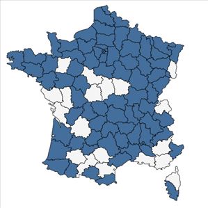 Répartition de Galinsoga parviflora Cav. en France