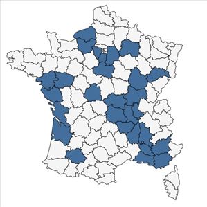 Répartition de Bolboschoenus laticarpus Marhold, Hroudová, Duchácek & Zákr. en France