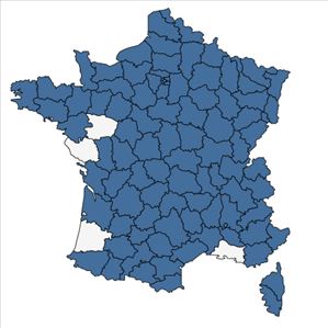 Répartition de Galium odoratum (L.) Scop. en France