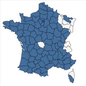 Répartition de Galium parisiense L. en France